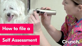 What is a Self Assessment and how do I file one with HMRC? | Crunch