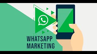 How To Install Bulk WhatsApp Software (Cryptical Software) screenshot 5