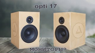 ОПТИ 17  могут ли считаться мониторами?