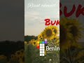 Numberblock 17 