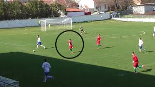 Aleksandar Milikic Cv