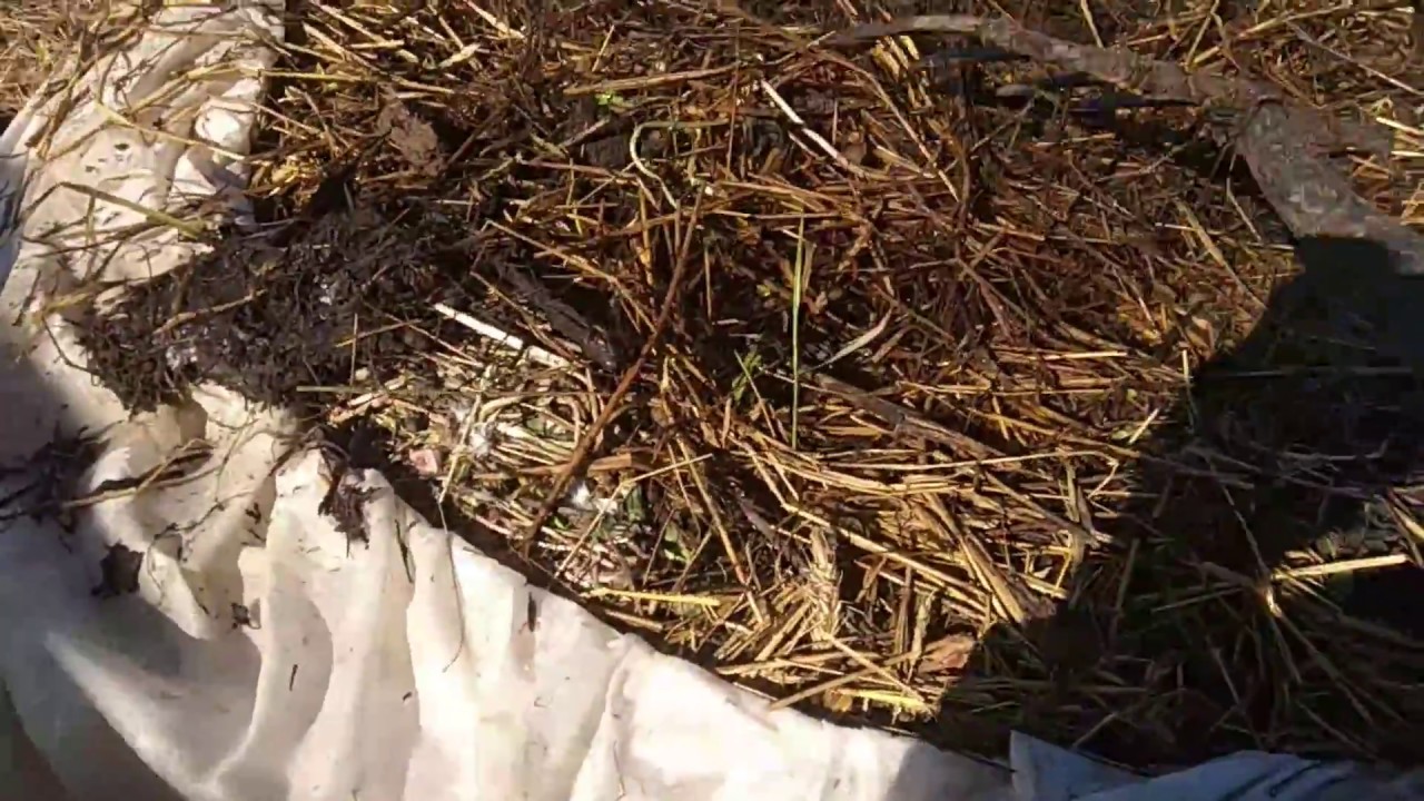 Биореактор(часть3)ТРИУМФгорячее компостирование ШОК всё это время халява валялась у нас под ногами.