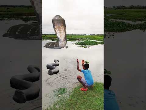 Chandi Video Hara Hara Shambhu Cnake Aya Radhe Radhe Ji 