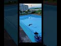 vidio lucu meme humor warga #meme #shorts #shortvideo #lucu