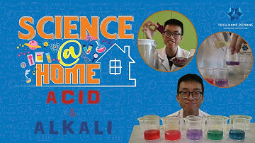 Acid & Alkali - Science@Home