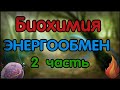 Биохимия. Лекция 52. Общие пути катаболизма. Энергообмен. Окислительное фосфорилирование