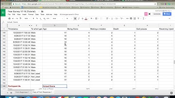 Survey Project Excel Tutorial 2c: Countif