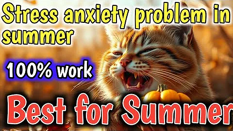 Video 8606481: persian cat healthy, persian cat food, best cat food, cat cream, healthy kittens