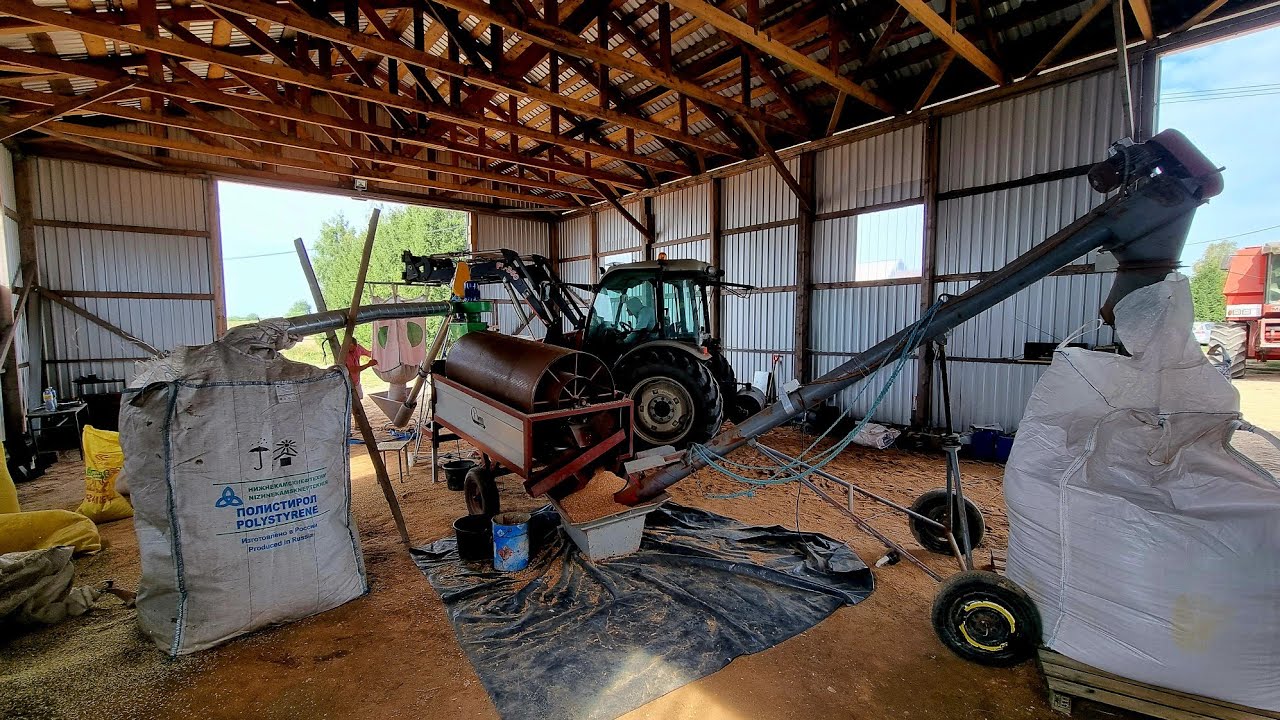 #89 Ruošiam sėklą (valom ir beicuojam).