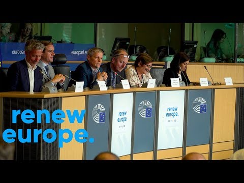 Parliamentary Groups: Renew Europe