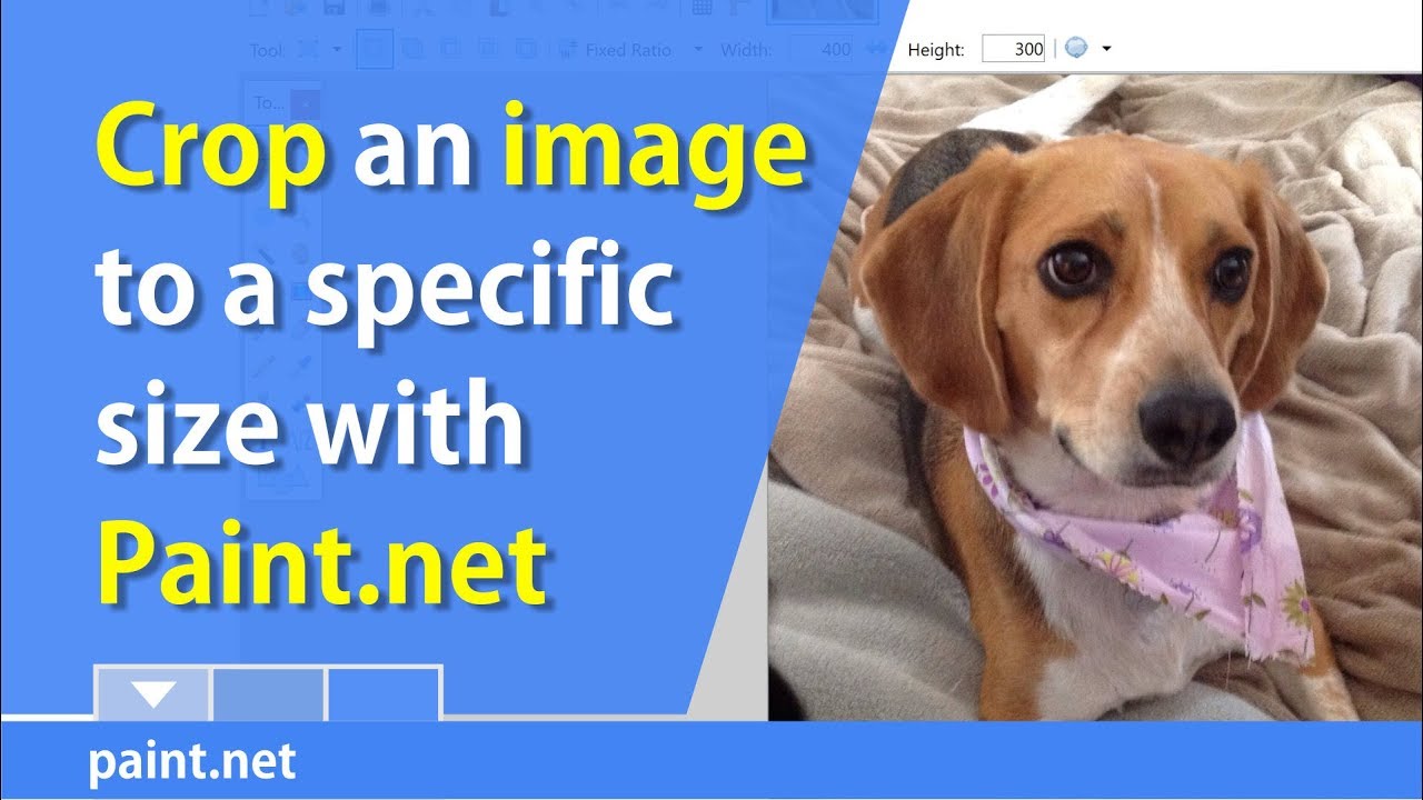 Crop a picture to a specific size with Paint.Net: Chris Menard Training