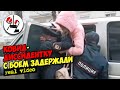 Буйную "ковигистку" с трудом в "воронок" запихнули. Real video