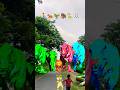 Big dinosaur chase T-rex chasingpart -1597#shorts #dinosaur#youtube#dinosaurs #superman#ddininner🐯🦣🦖