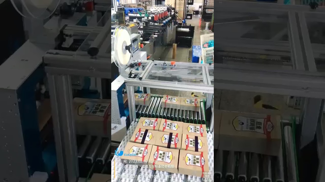 Bag sorting and binding machine with three channels 