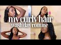 My Curly Hair Wash Day Routine *updated* | Lydia Tefera