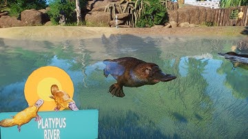 Planet Zoo Platypus Habitat Great Viewing
