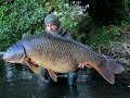 NASH 2016 - CARP FISHING NEI GRANDI LAGHI