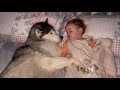 Adorable Husky PROTECTS My Baby While She’s Sleeping!😭.