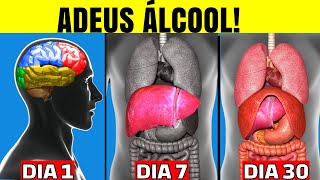 See what happens to your body when you stop alcohol | Health benefits of LIVER DETOX for 30 DAYS