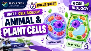 Animal & Plant Cells | GCSE Biology Cell Structure Revision | Resourceful Learning