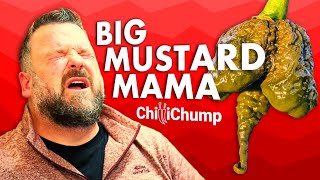 Eating the Big Mustard Mama Chilli 🔥🔥 by ChilliChump 13,358 views 5 months ago 10 minutes, 45 seconds