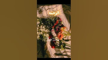 قراءن كريم⁦❤️⁩✨ للقارئ محمد هشام.           فصبر جميل 🤲🍂💜