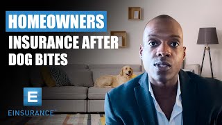 Homeowners Insurance After Dog Bites