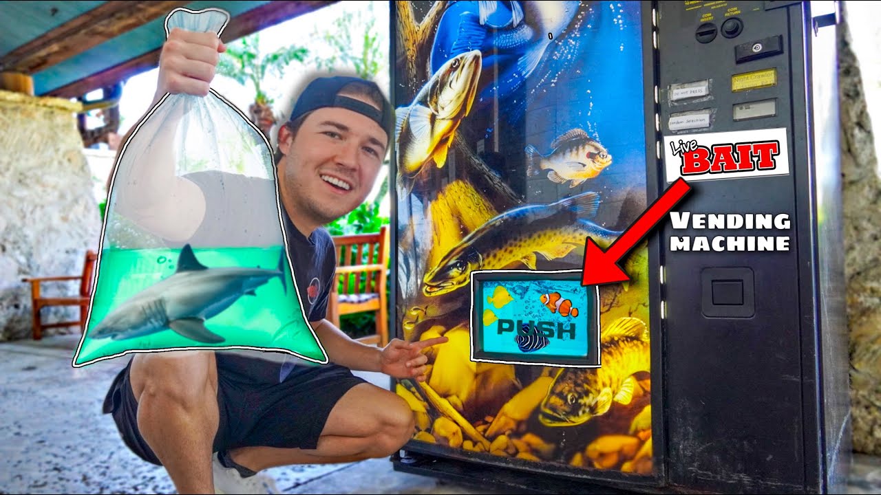 BUYING ALL THE FISH FROM THE VENDING MACHINE (do not press) 