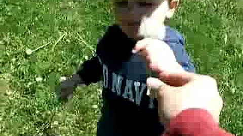 Funny stuff....My son spitting at dandelions!!