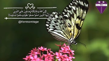 الاية ٥٦ من سورة الاحزاب بصوت الشيخ بندر بليله