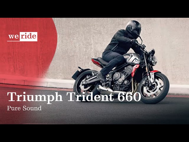 Triumph Trident 660 2024 💥 | Pure Sound