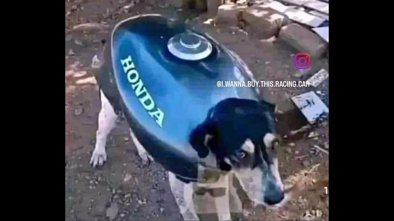 Halo Reach con Hunter! #3 y mods xd