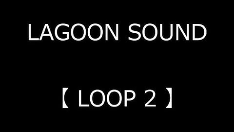 LOOP 2 ( Loop 1 / True-Bypass & Loop 2 / True-Bypass )