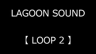 LOOP 2 ( Loop 1 / True-Bypass & Loop 2 / True-Bypass )