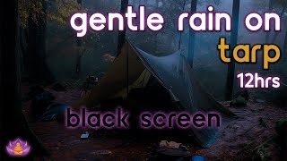 [Black Screen] Gentle Rain on Tarp No Thunder | Rain Ambience | Rain Sounds for Sleeping