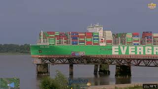 Containerriese EVER APEX &amp; Kreuzfahrtschiff AIDAprima passieren Grauerort – 03.08.2025