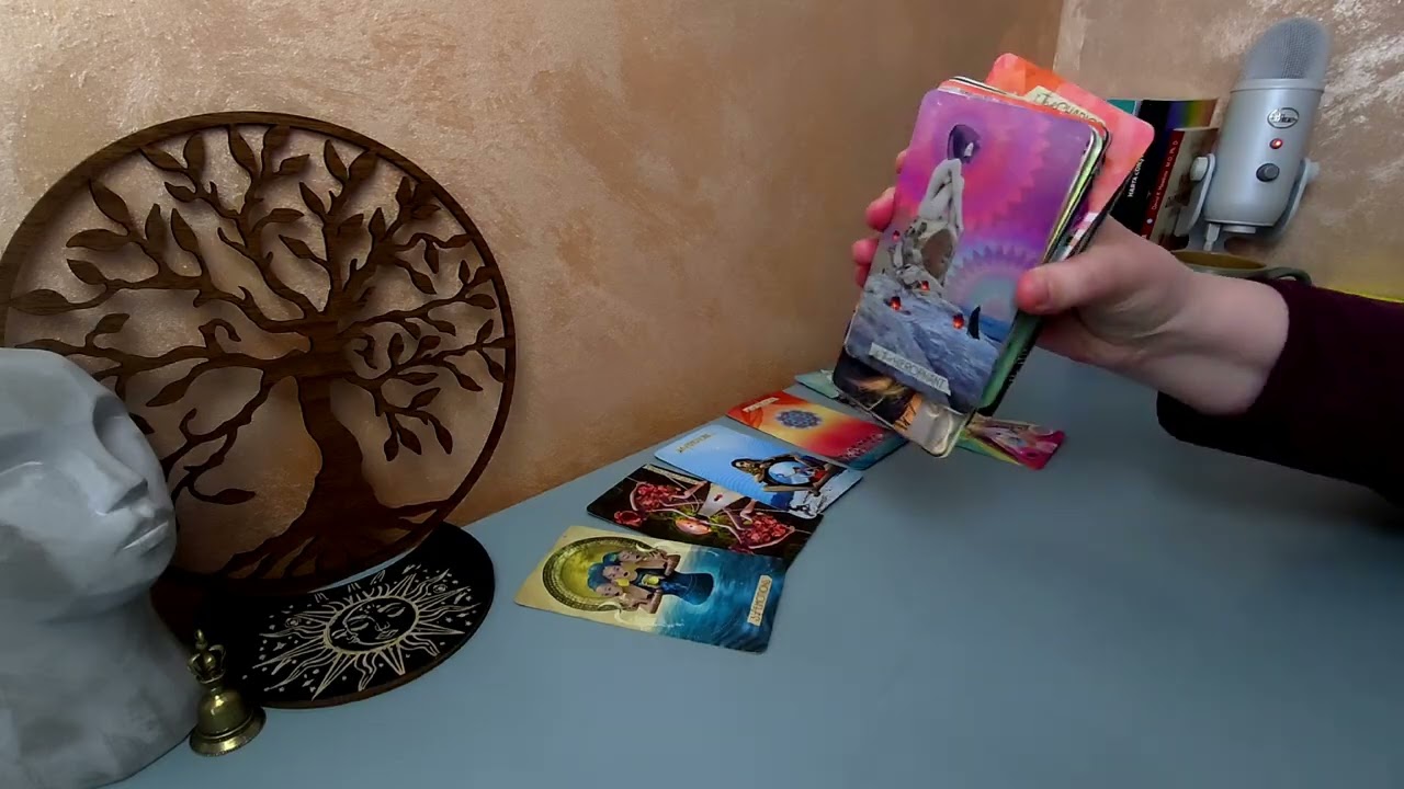 ⚠️ce-ai făcut,draga mea ? Acest rege al stabilității a fost nevoit să meargă pe sârmă din cauza ta 😱