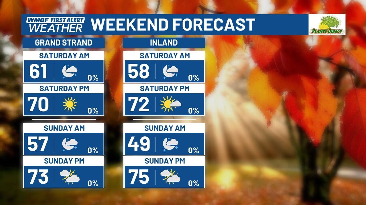 Dry and mild weekend with rain chances on Veterans Day - YouTube