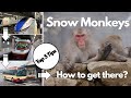 Bullet Train Day Trip to The Japanese Snow Monkeys. Everything Goes Wrong!