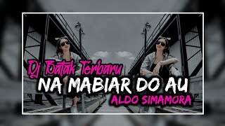 DJ NAMABIAR DO AU - ALDO SIMAMORA
