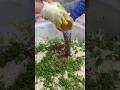King Of Masala Jhal Muri Bangla Street Food Shorts King Of Masala Jhal Muri Bangla Street Food Shorts