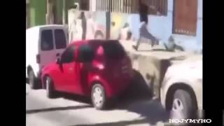 Fails fail compilation 2015 funny videos funny pranks failure breaking benjamin