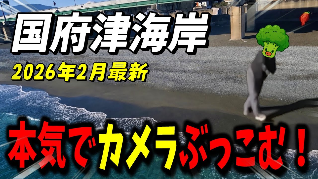 【国府津海岸】本気でカメラぶん投げてみた