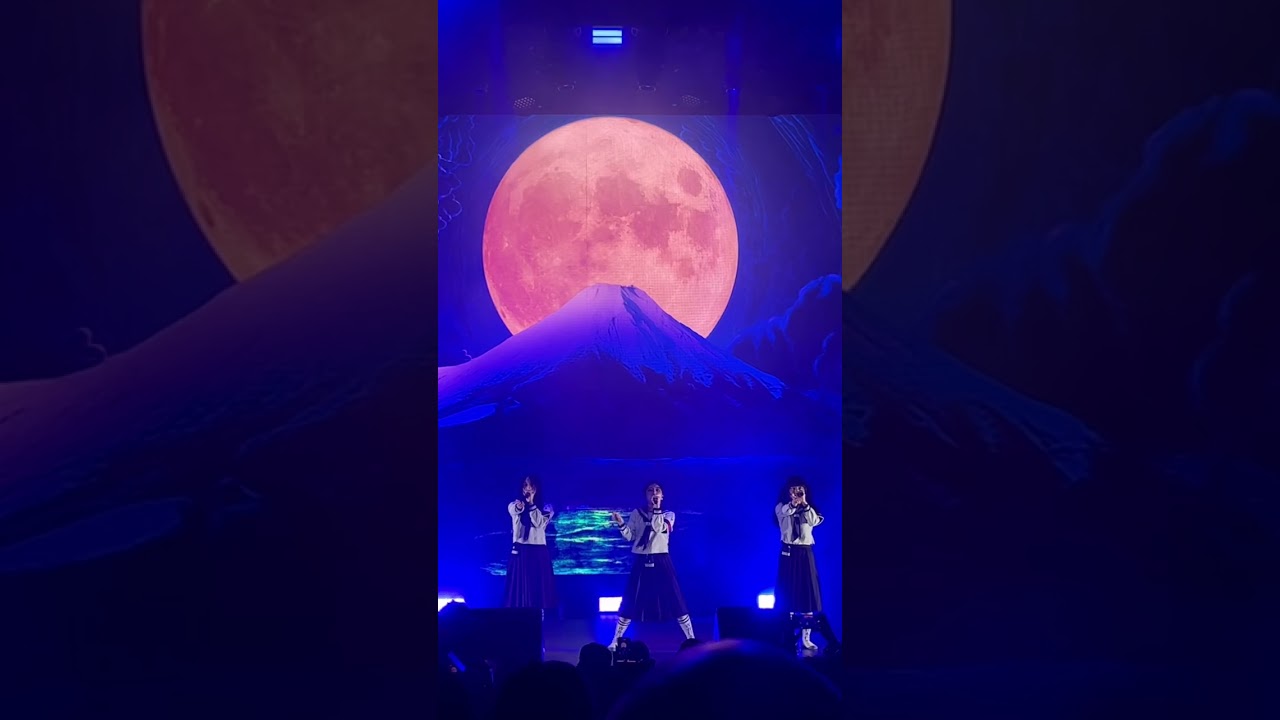 ニュースクールリーダー BOYS ラグビーボーダーショートスリーブセーター | トミー