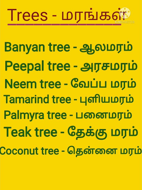 Trees name in English with Tamil meanings / மரங்கள் பெயர்கள் ஆங்கிலம்