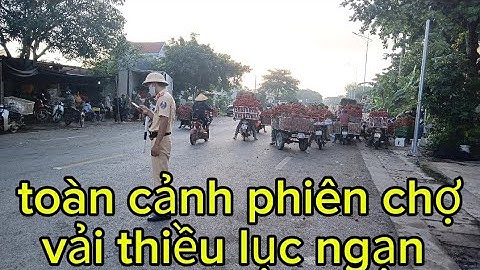 Toàn cảnh phiên chợ vải thiều lục ngạn bắc giang