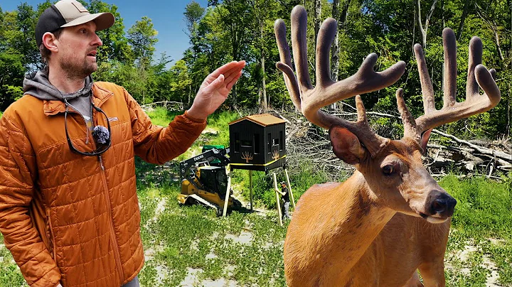 How We Developed A Farm For This GIANT Typical Deer