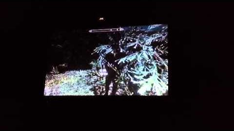 Solitude Skyrim Glitch - Infinite Items/Gold