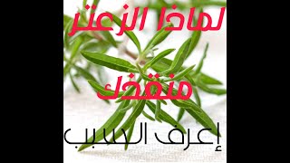 الزعتر و فوأئده ضد الفيروسات في 2020 اليوم 11/5