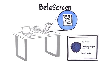 BetaScreen - In vitro recording system for diabetes research